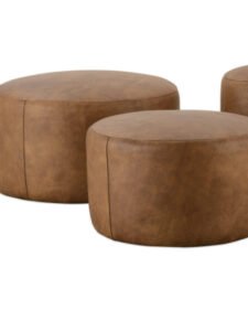 Read more about the article new arrivals